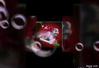 يلي مالك ليل ما تهوة الضلام