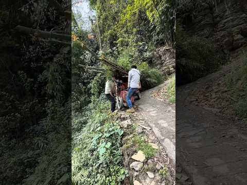 Spreading Kindness Kindness