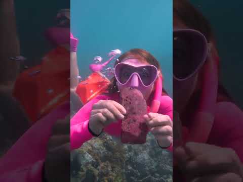 يا له من اكتشاف مذهل تحت الماء