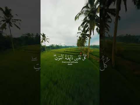 يا عبادي الذين امنوا ان ارضي واسعة القارئ عبد الرحمن مسعد يا عبادي الذين امنوا ان ارضي واسعة القارئ عبد الرحمن مسعد