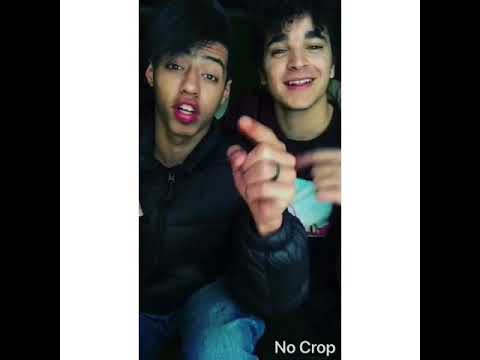 مهرجان الباب الجديد