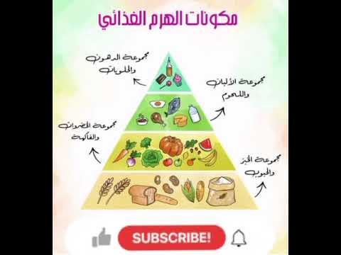 اعرف مكونات الهرم الغذائي بروتين خضروات الهرم الغذائي غذاء صحي مكونات اعرف مكونات الهرم الغذائي بروتين خضروات الهرم الغذائي غذاء صحي مكونات