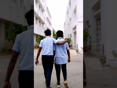 Forever Friendships More Than Just College Memories Forever Friendships More Than Just College Memories