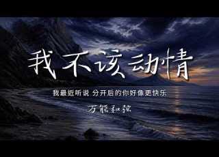 万能和弦 我不该动情 藏语男女合唱版 我最近听说 分开后的你好像更快乐 本该替你开心为何又替自己难过 动态歌词 PinyinLyrics