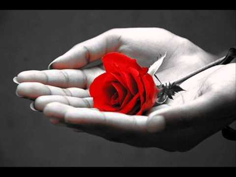 انساك ده كلام