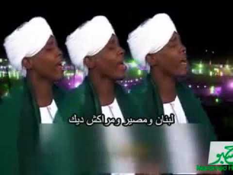الجيلي الصافي القوم بتجيك