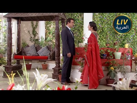 الموسم 61 حلقات كامله الكثير من الحب لماذا راجني يوبخ نيل