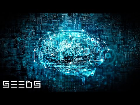 Loki SEEDS Official Video Ft Tundra Thao X Kavimugil