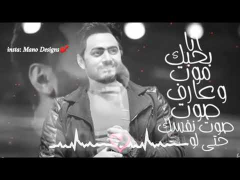 فـرحة تـامر حسنـي في الكوبليه ده أنـا بحبـك مـوت