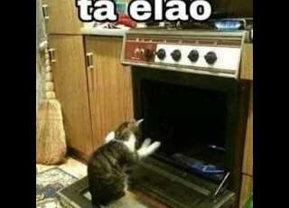  Caliente Caliente Speed Up