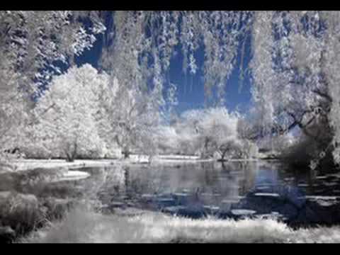 Tombe La Neige SALVATORE ADAMO