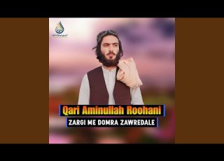 Zargi Me Domra Zawredale