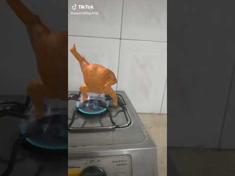 دجاجة ترقص علئ النار