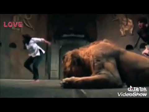 حالات واتس 2020 كلو عامل شبح ولففلي سيجارة بيصطبح حالات واتس 2020 كلو عامل شبح ولففلي سيجارة بيصطبح