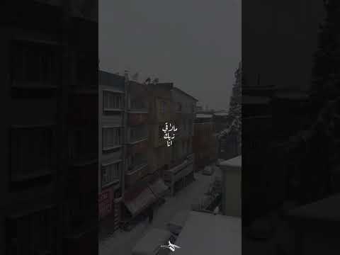 عيونوا عسليه يابي الحنيه الاخرس دايما هيك عيونوا عسليه يابي الحنيه الاخرس دايما هيك