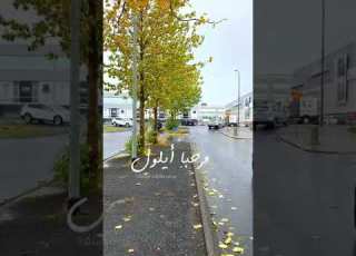 بدأ الخ ريف في ايسلندا Short