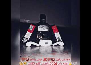محدش يقول عيش وملح الملح دأب والعيش كلو الكلاب
