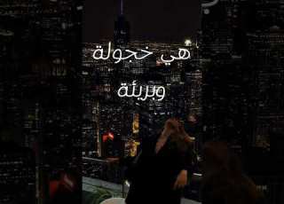  تحت ضوء القمر في ليلة هادئة