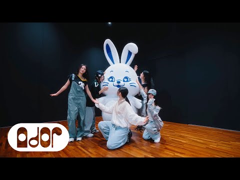 NewJeans 뉴진스 Bubble Gum Dance Practice Fix Ver NewJeans 뉴진스 Bubble Gum Dance Practice Fix Ver