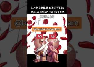 DOMIN SAMUN CHANJIN GENOTYPE DAKUMA WARAKA DAGA CUTAR SIKILA DA IZININ ALLAH