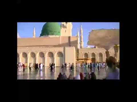 انا مشتاق انا ملهوف للهادى وجماله