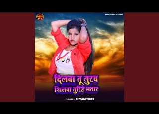 Dilwa Tu Turba Silwa Turihe Bhatar