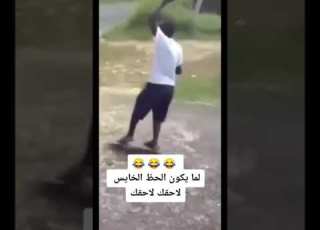  قراده والله
