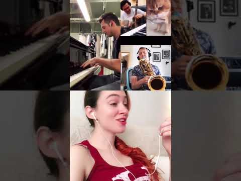 Num Num Cat TikTok Chain But Its Actually Good Lol