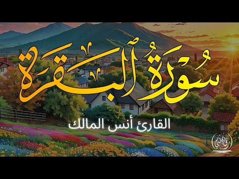 سورة البقرة كاملة بصوت القارئ أنس بن صالح المالك تلاوة تقشعر لها الابدان ارح نفسك بهذه تلاوة