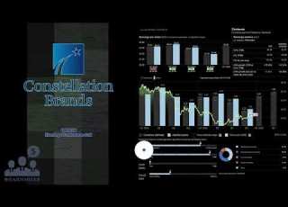 STZ Constellation Brands Q4 2026 Earnings Conference Call