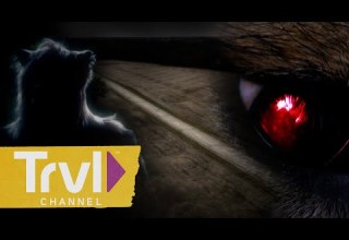 REAL Sightings Of The Beast Of Bray Road In Search Of Monsters Travel Channel