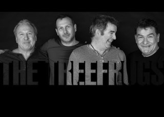  The Tree Frogs Live In The Arts House Taunton Centre