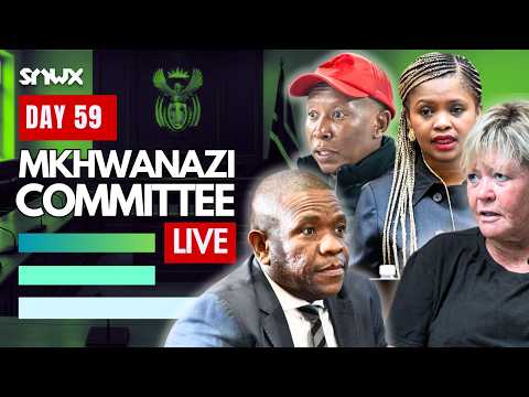 Ad Hoc Committee Prepares For Lt Gen Mkhwanazi