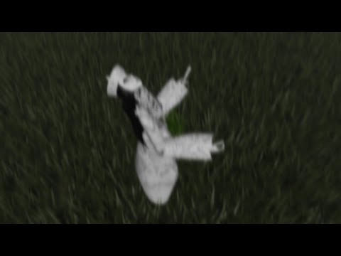 NBSPLV Lost Soul Really Slowed Reverb Bass Boosted