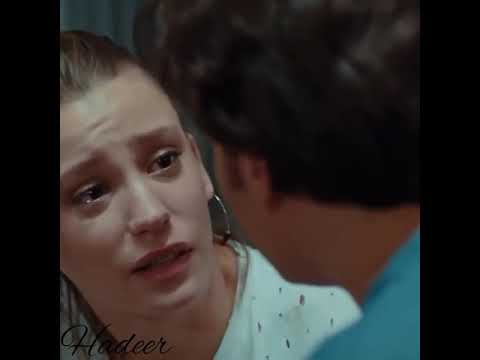 عارف حبيبي عمرو دياب