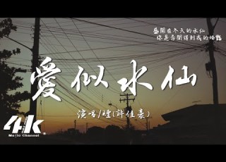 煙 許佳豪 愛似水仙 原唱 金海心 如果你看穿我的思念 我就不會為你哭紅雙眼 高音質 動態歌詞Lyrics