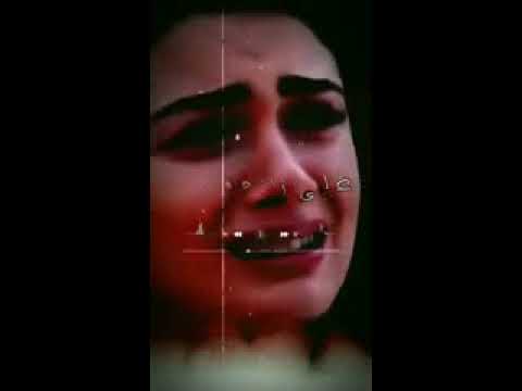 مين فى الدنيا دى شايل شيلتى كاملة