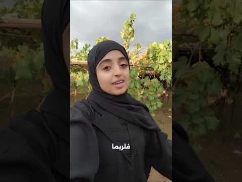 فلربما اتسع المضيق ملاك فتحي اكسبلور