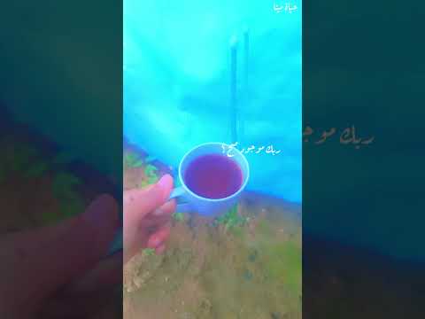 Upset Done Get Up Mina SLife Routine Fyp Viralvideo Viral