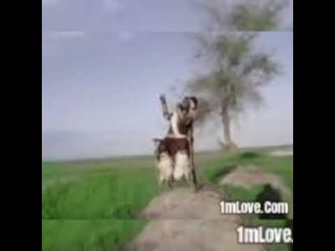 NELEMI MBASANDO FT KUKUMAJI WIZUGEJI NGOTA STUDIO MSAMBAZAJI 2026