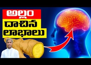  Amazing Health Benefits Of Ginger Allam Ginger Benefits Dr Manthena Satyanarayana Raju