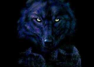  Little Red Riding Hood Sam The Sham The Pharaohs