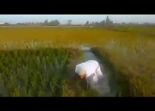 يارب استرها يارب هات العواقب سليمة يارب