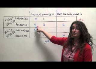 Turkish Grammar 4 Way Vowel Harmony