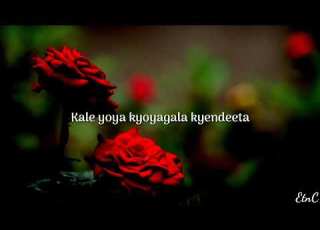  Ekimuli Kya Rosa By Fred Maiso
