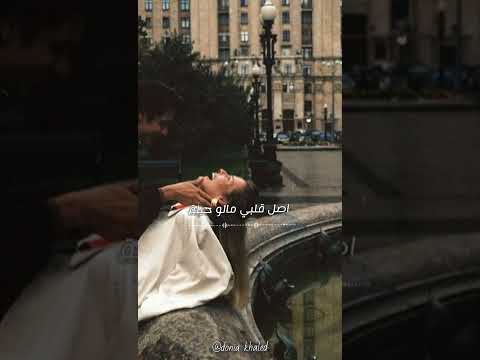 طاب تعالي محمود العسيلي حالة واتس