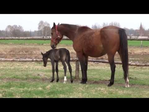 Lilla With Her Baby Layla