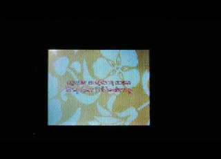 Closing To SBSP Welcome To The Chum Bucket Frankendoodle 2023 Homemade VideoNow Color Disc