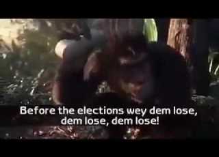 Barawo