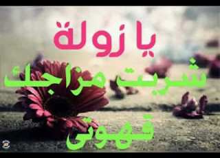  أخوان في الإنسانية 5
